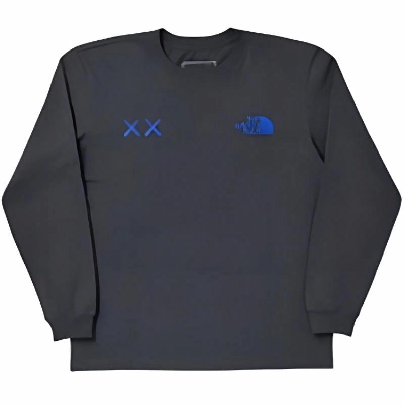 THE NORTH FACE x KAWS LogoT