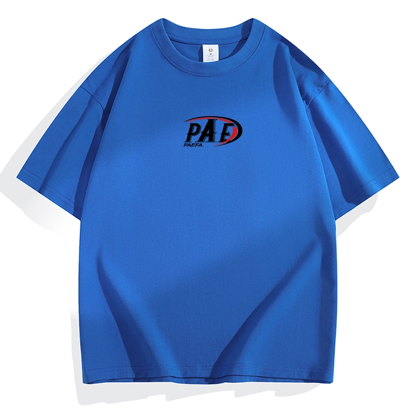 PAEFA LogoT