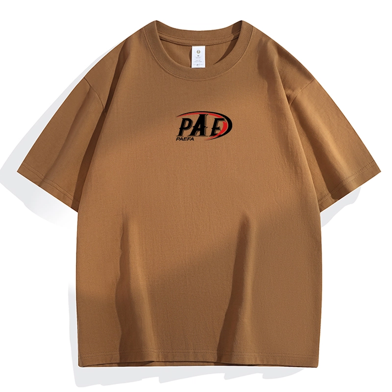 PAEFA LogoT