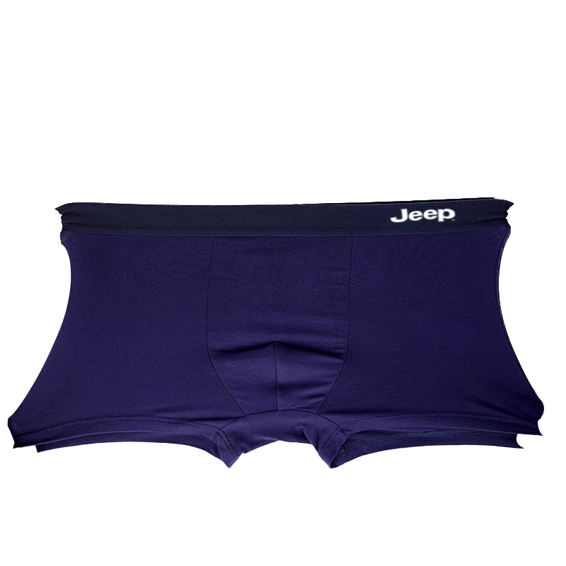 Jeep 2