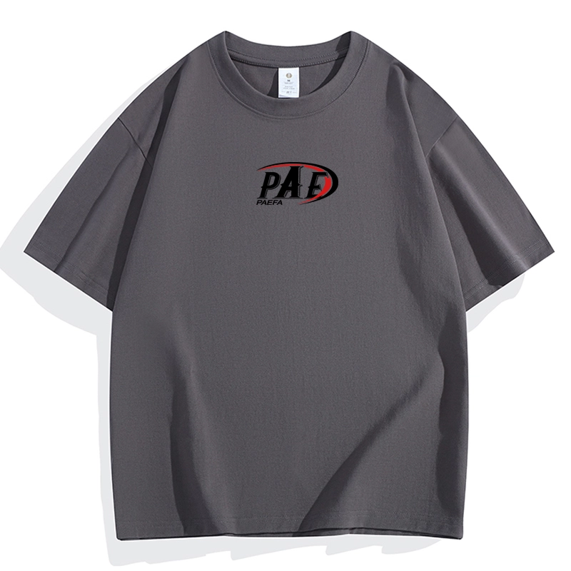 PAEFA LogoT