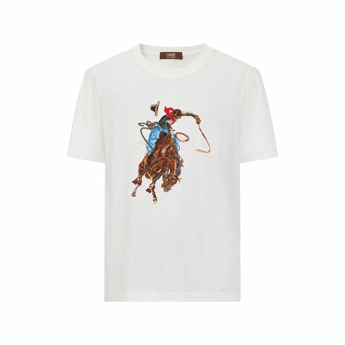 Cavalli Class T