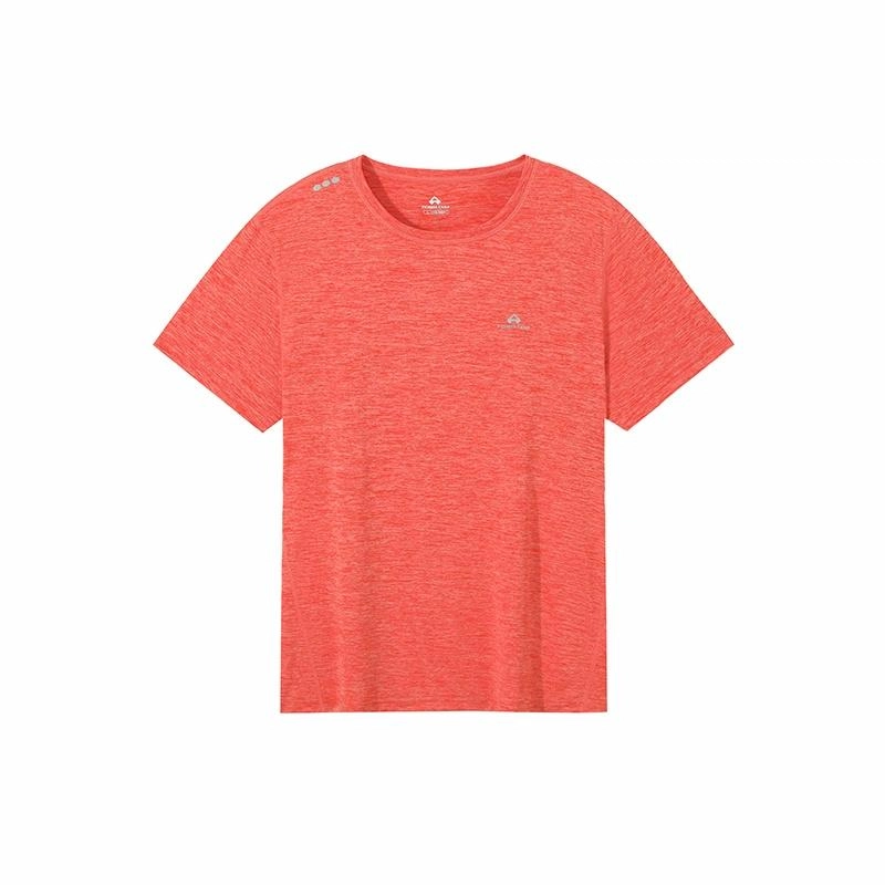PIONEER CAMP T