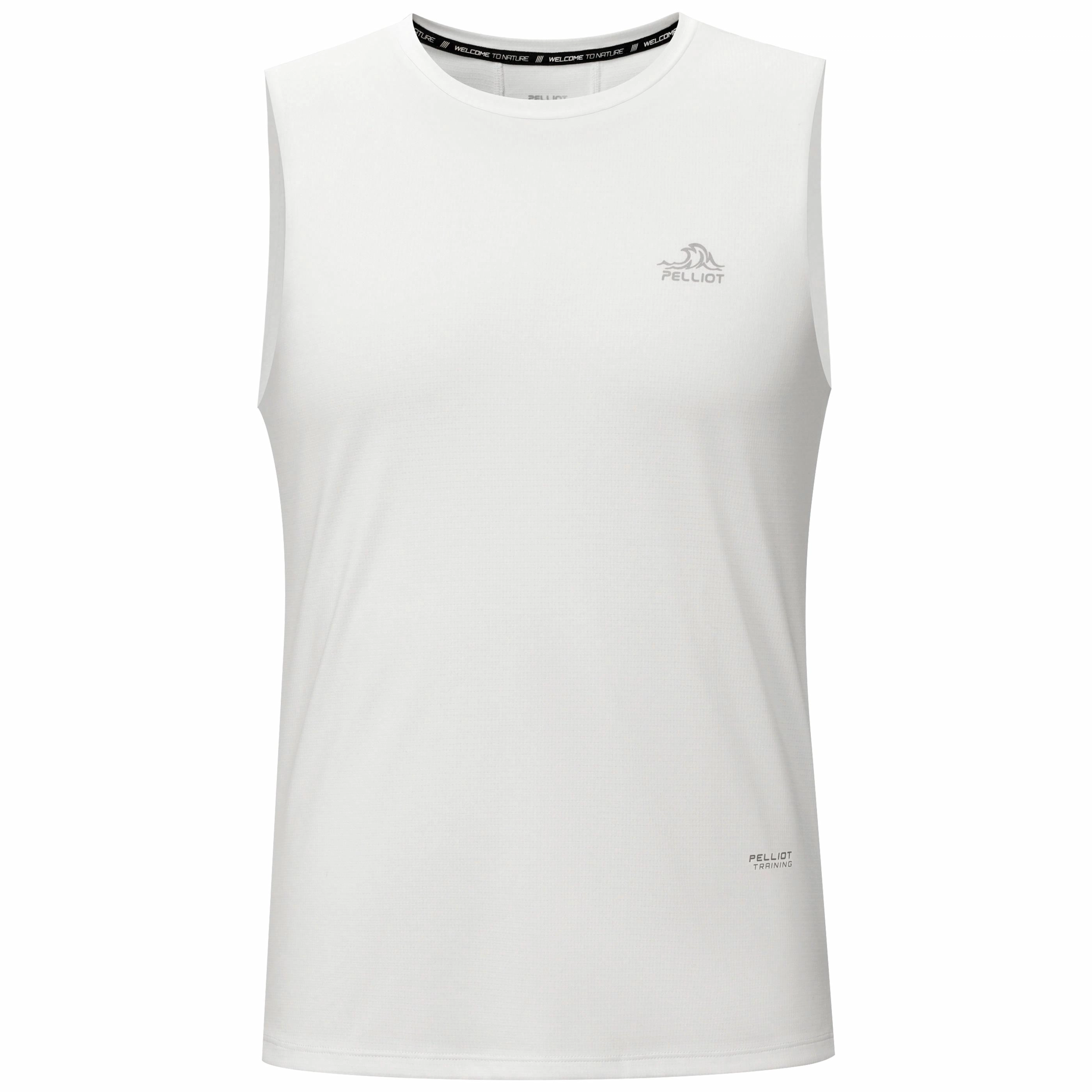 PELLIOT T