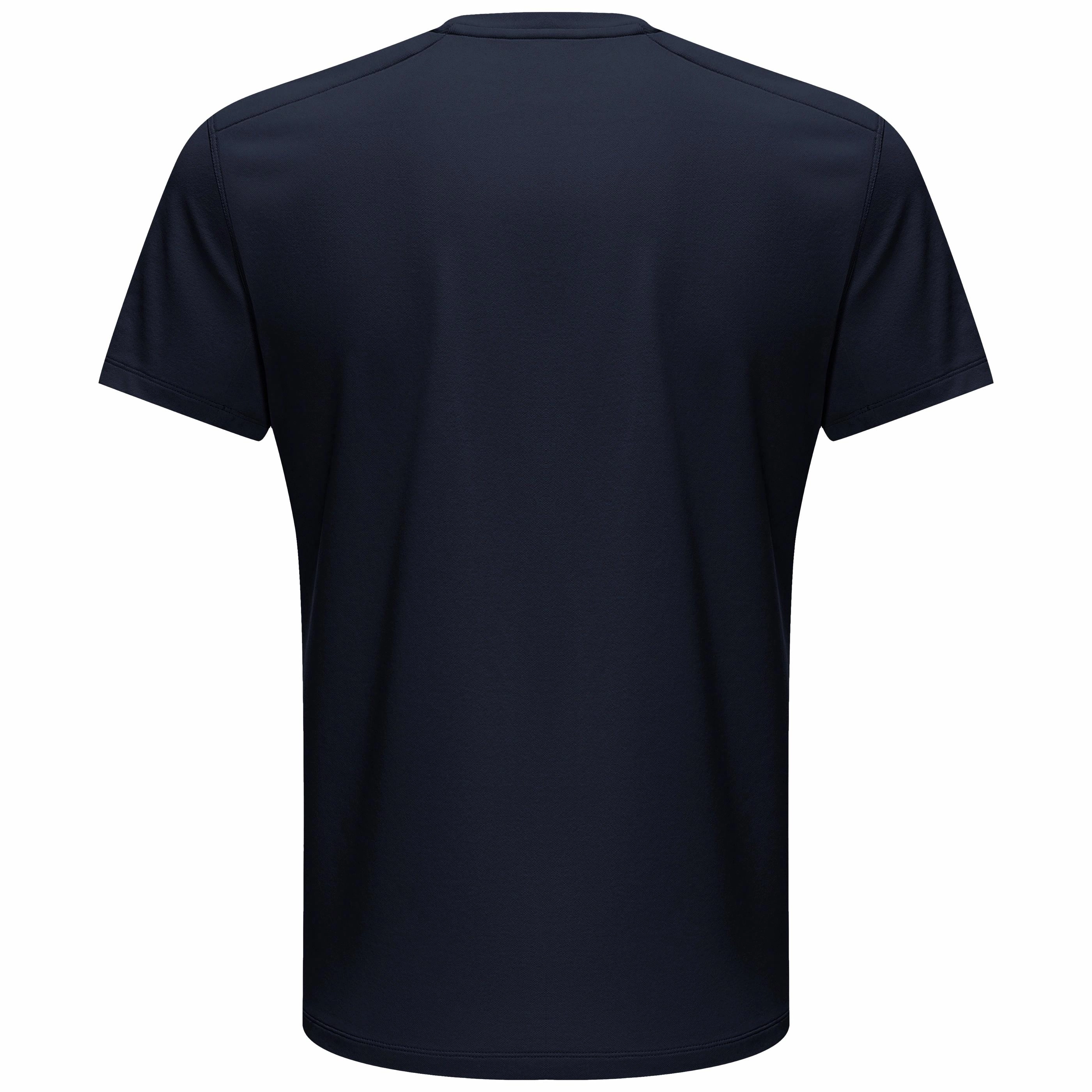 PELLIOT T