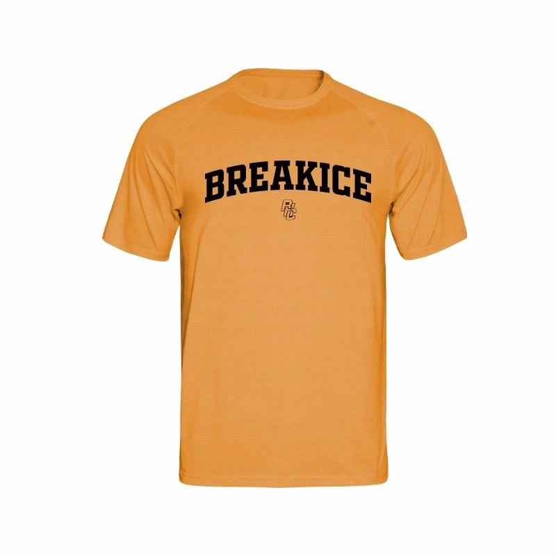 BKCXZICE T