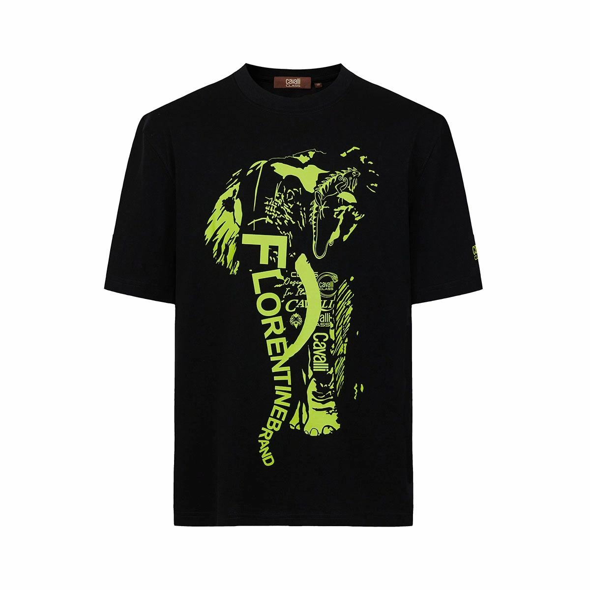 Cavalli Class T