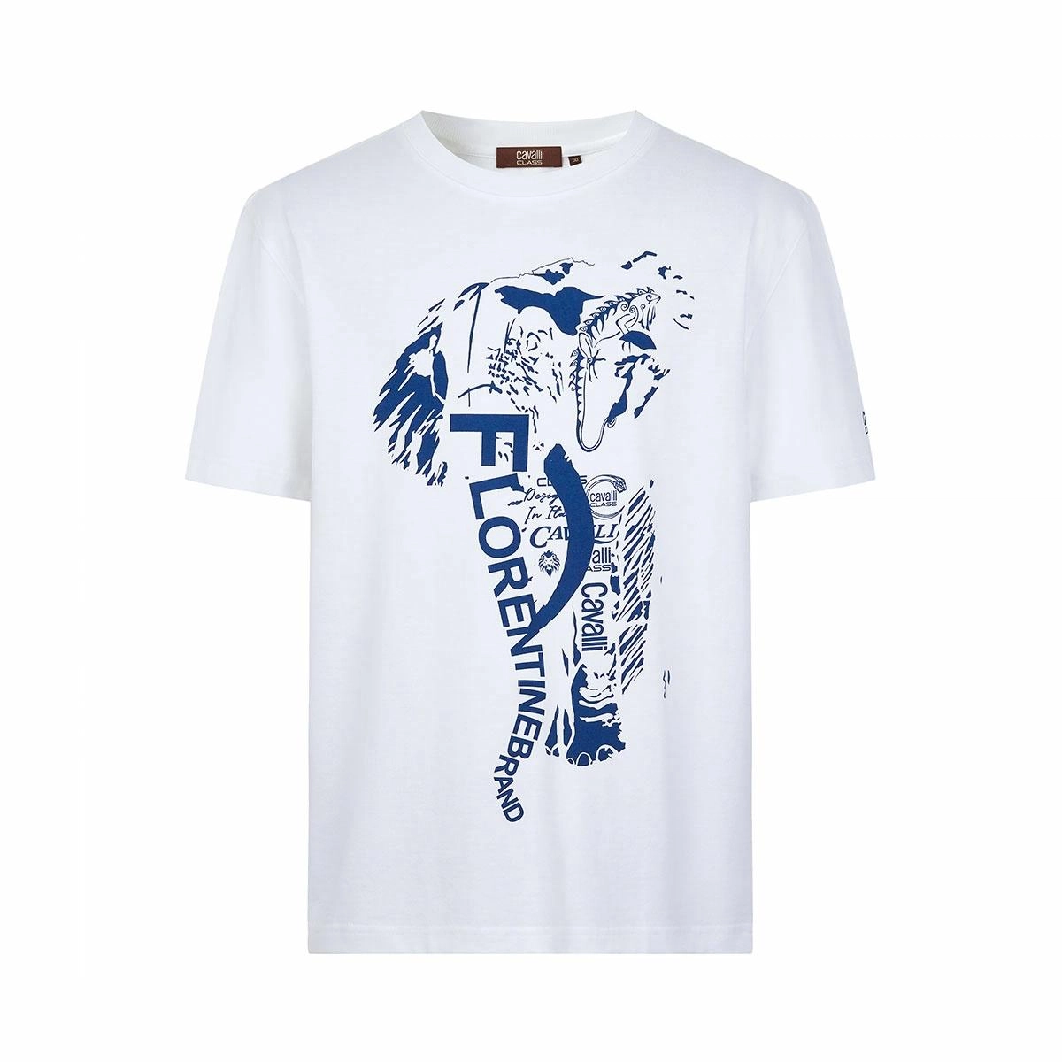 Cavalli Class T