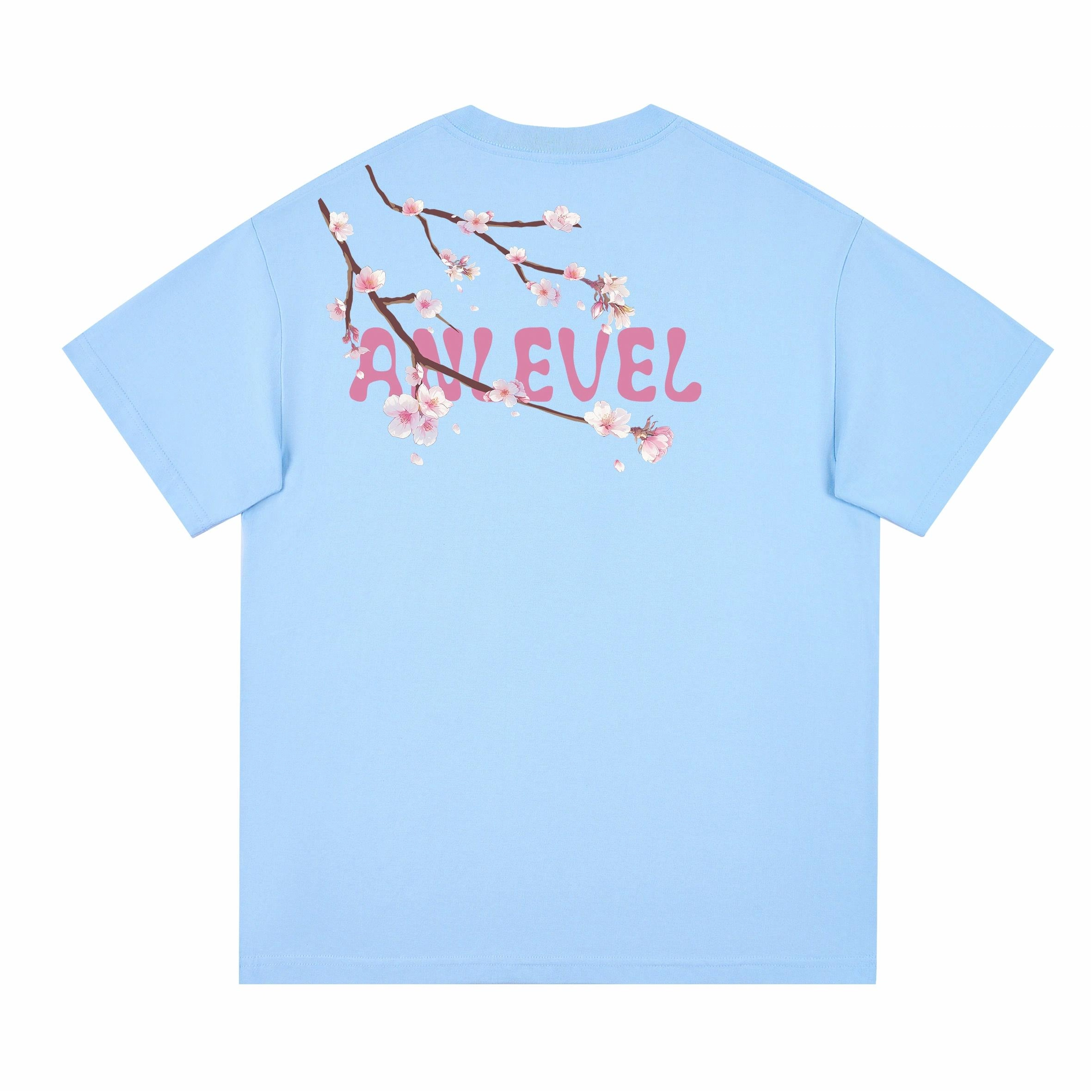 LEVEL T
