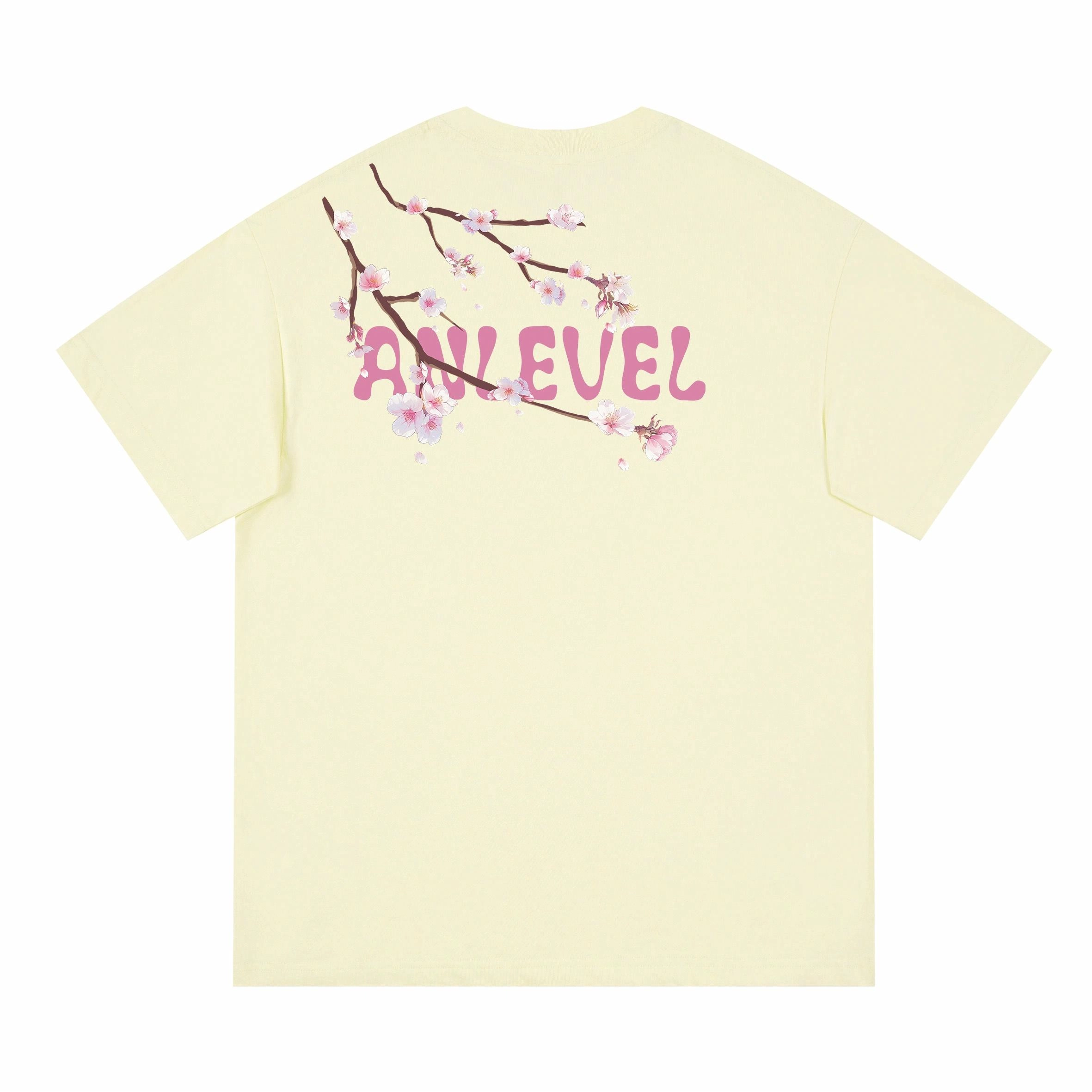 LEVEL T