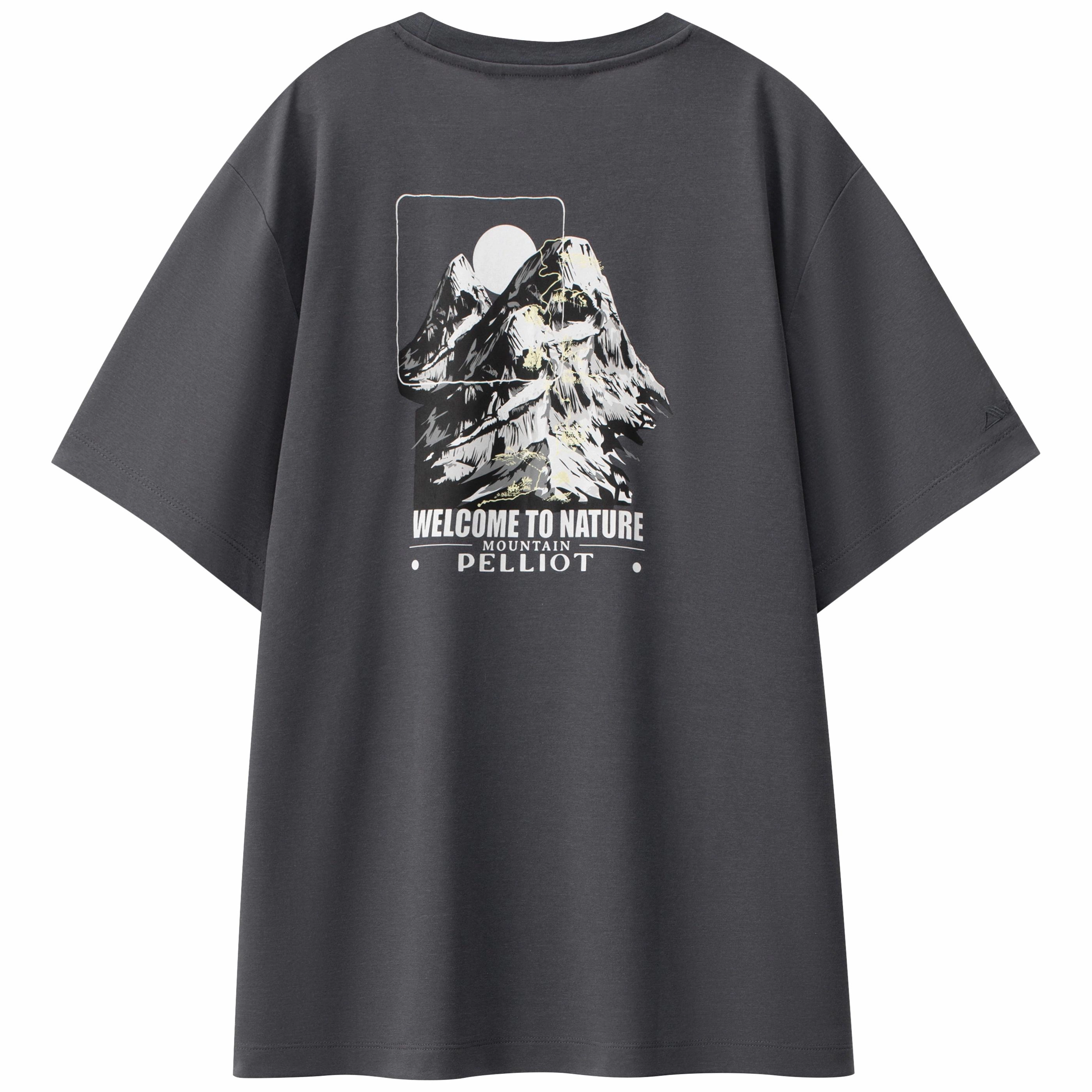 PELLIOT T