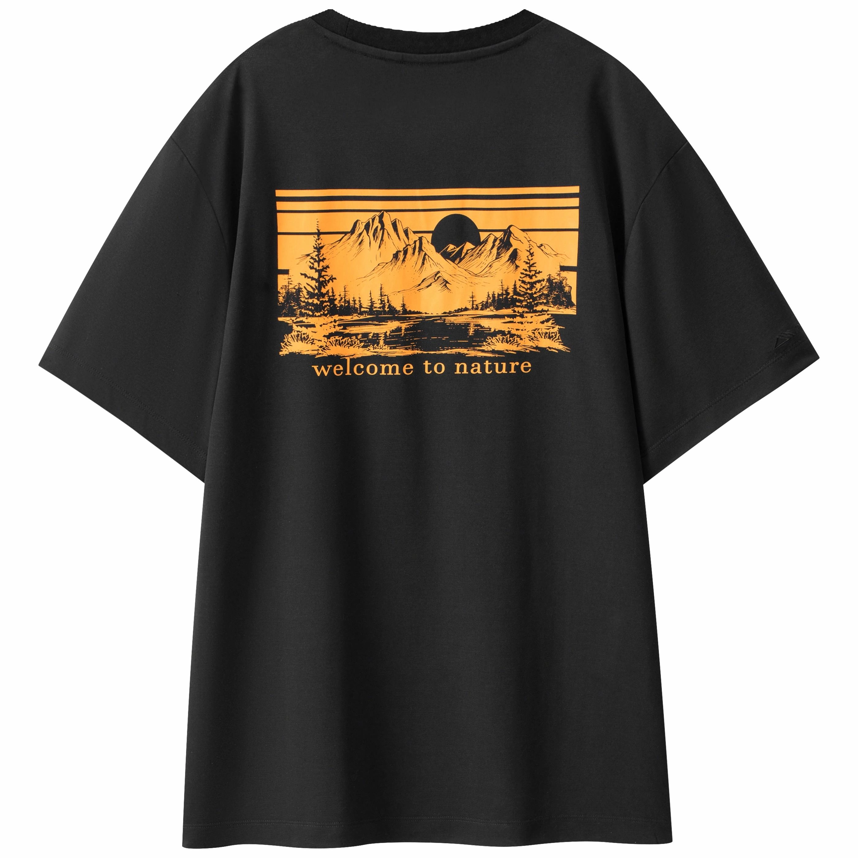 PELLIOT T
