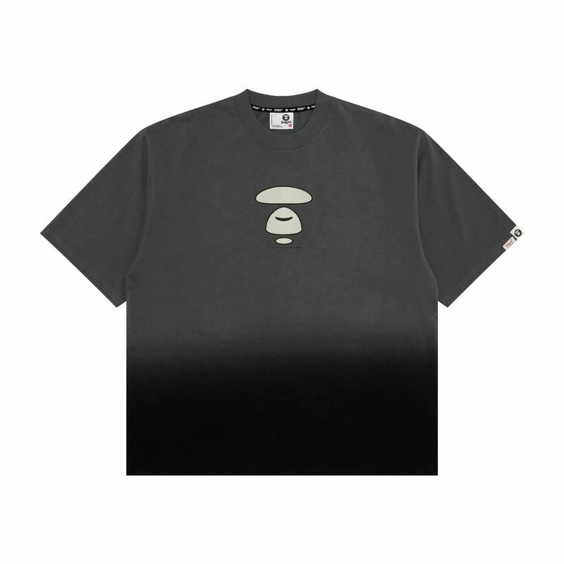 Aape FW24 T