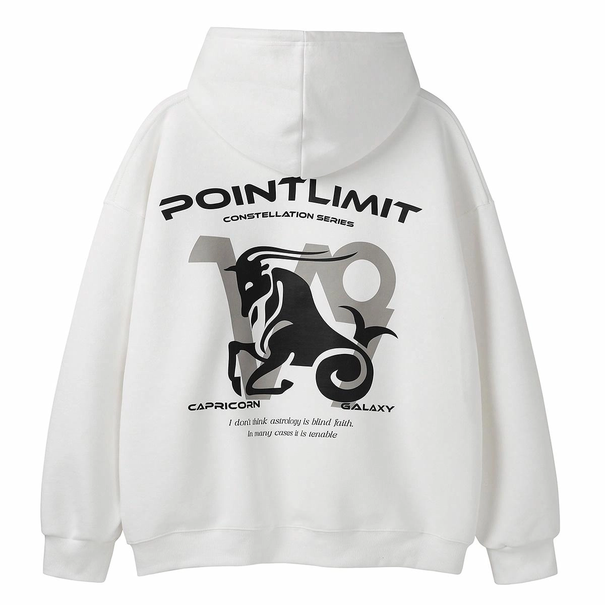 POINTLIMIT Logo