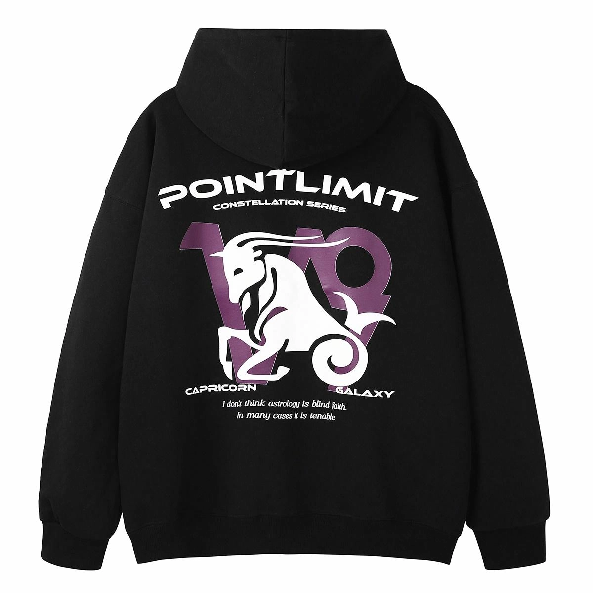 POINTLIMIT Logo