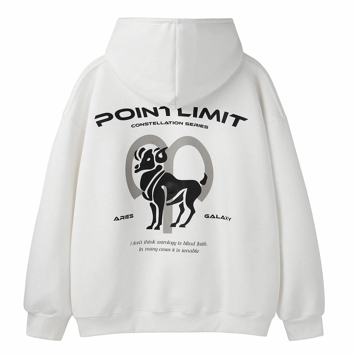 POINTLIMIT Logo