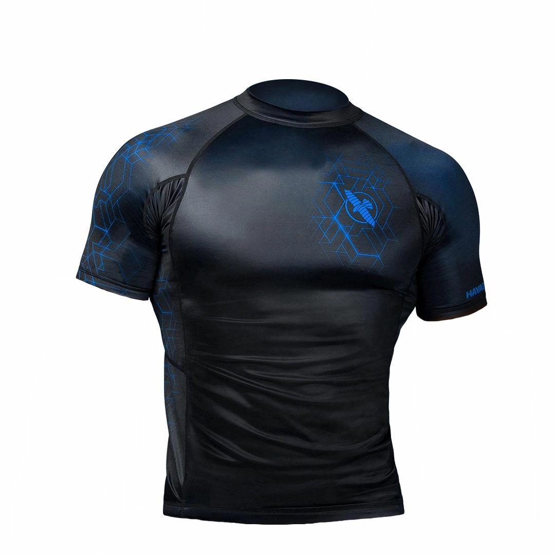 HAYABUSA LogoT