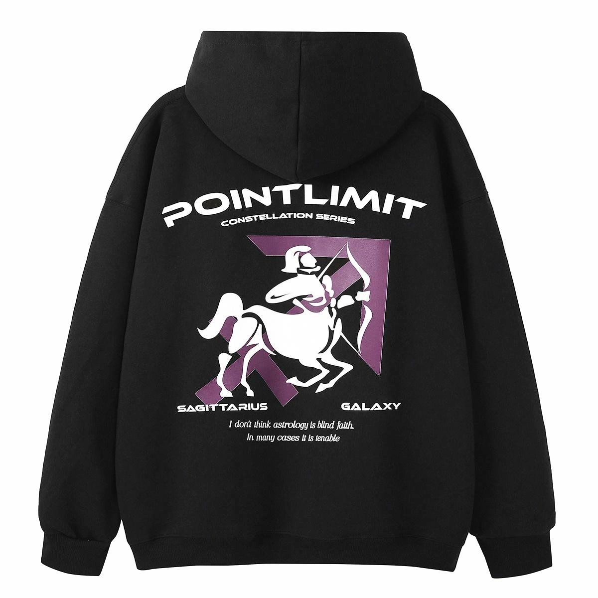 POINTLIMIT Logo