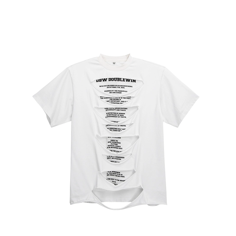 DBW DOUBLEWIN T