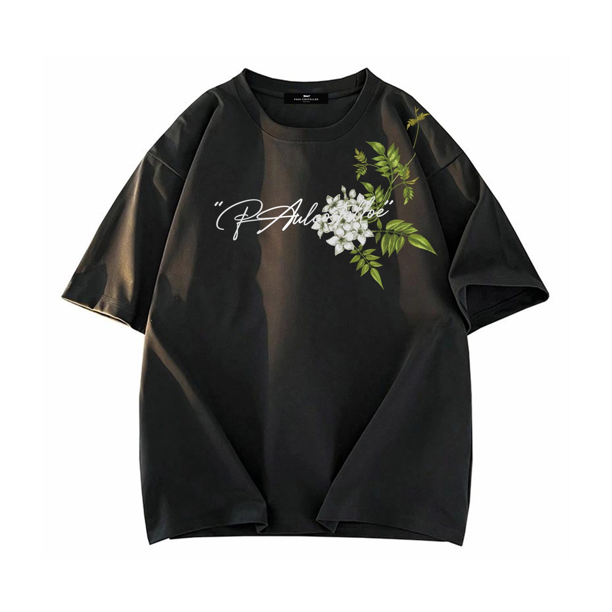 PAUL COSTELLOE logoT