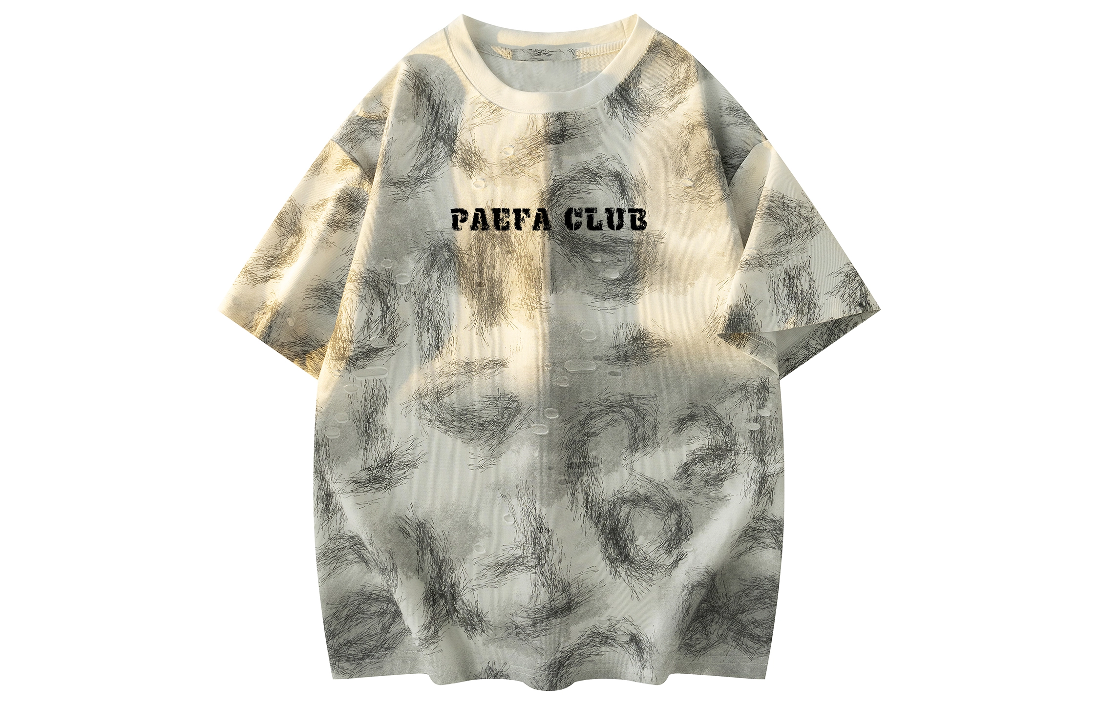 PAEFA LogoT