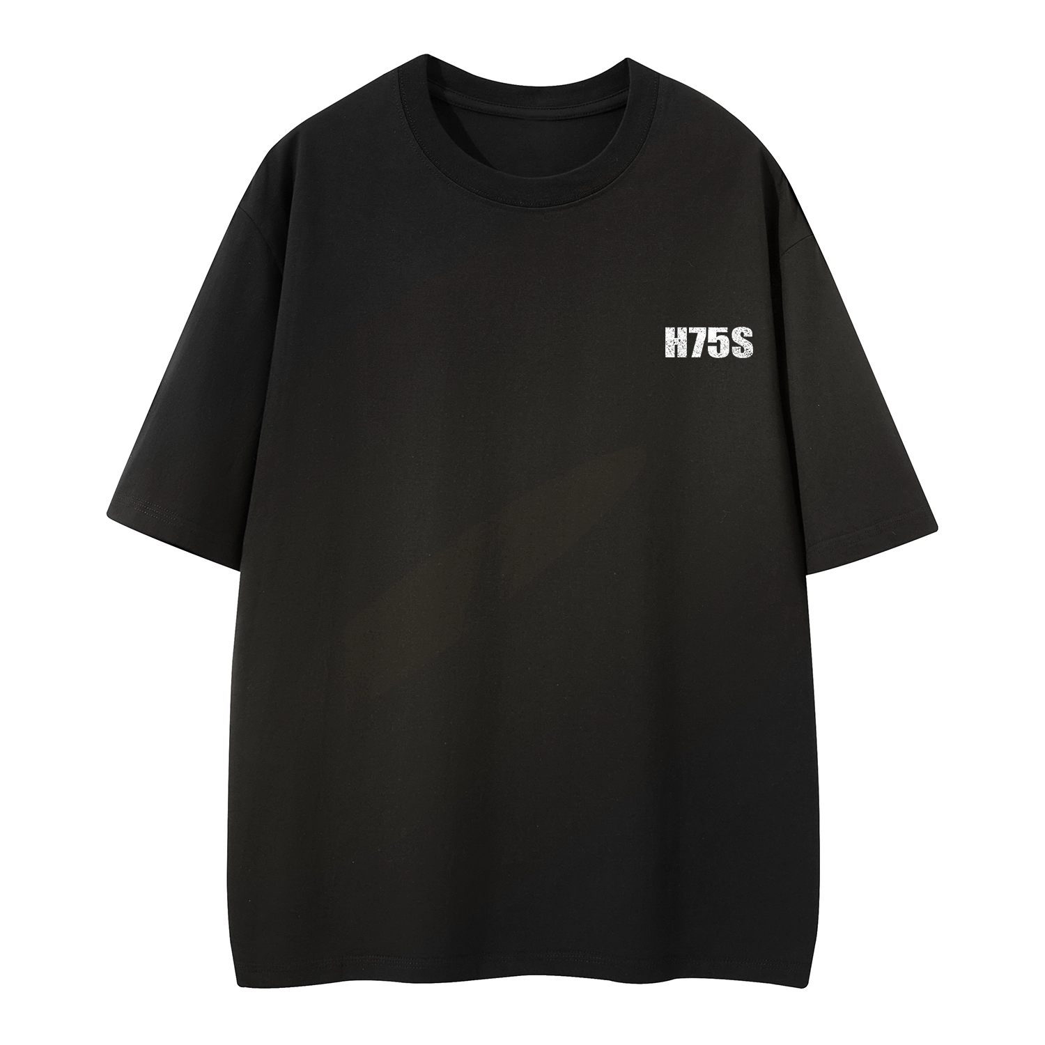 H-75 logoT
