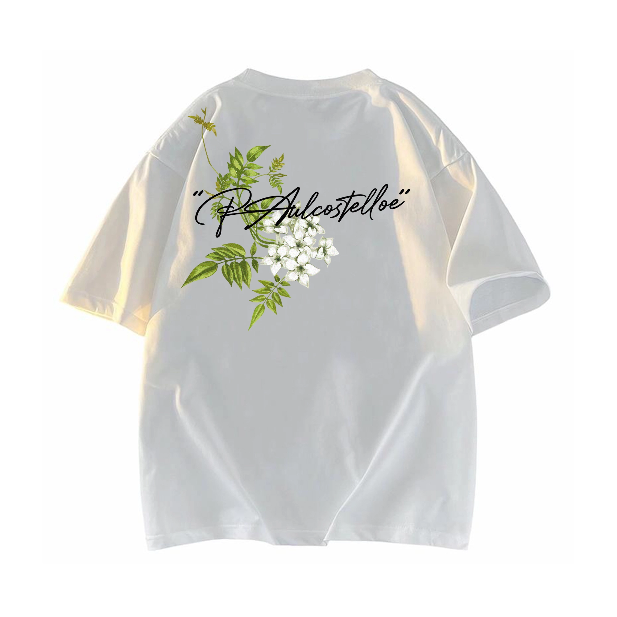 PAUL COSTELLOE logoT