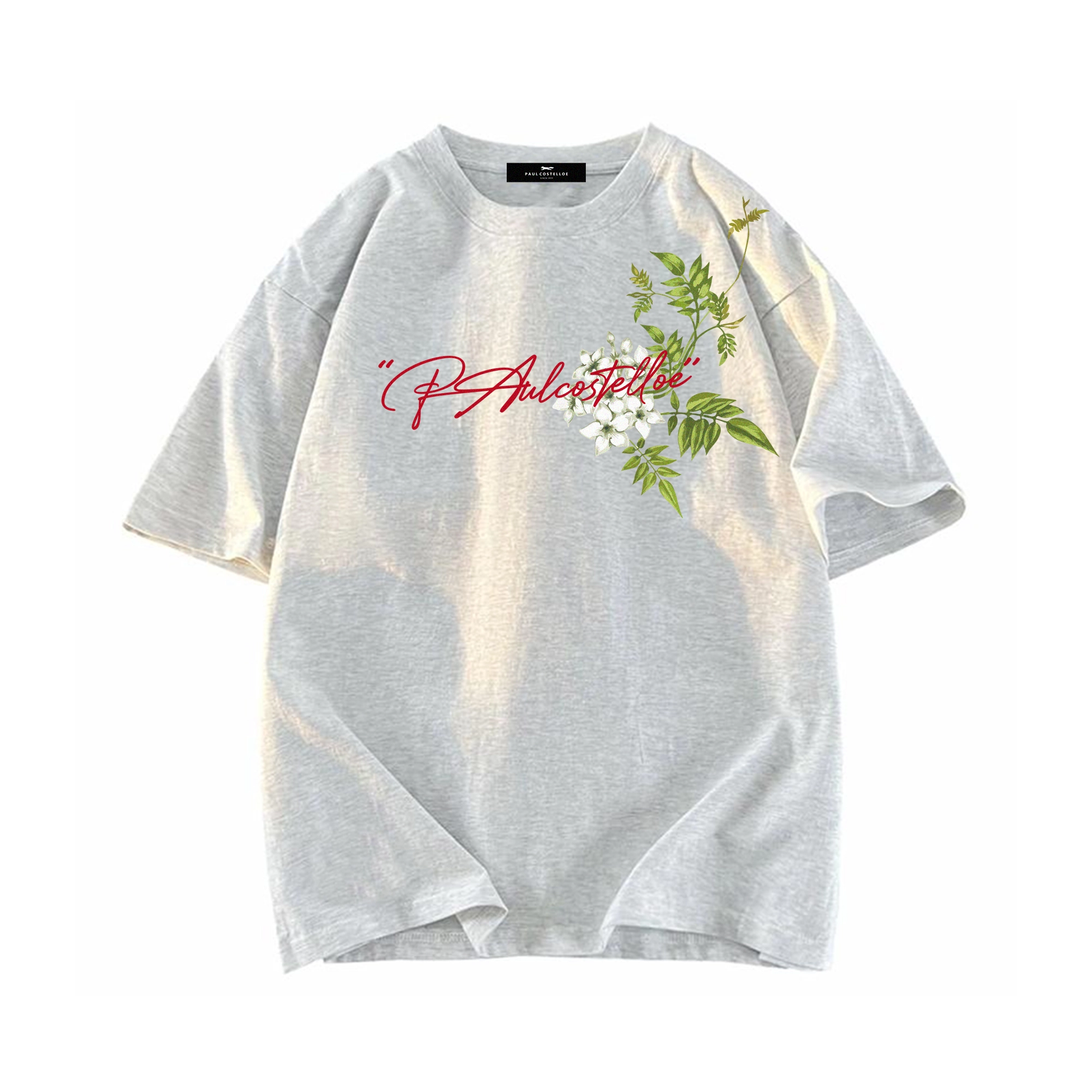 PAUL COSTELLOE logoT