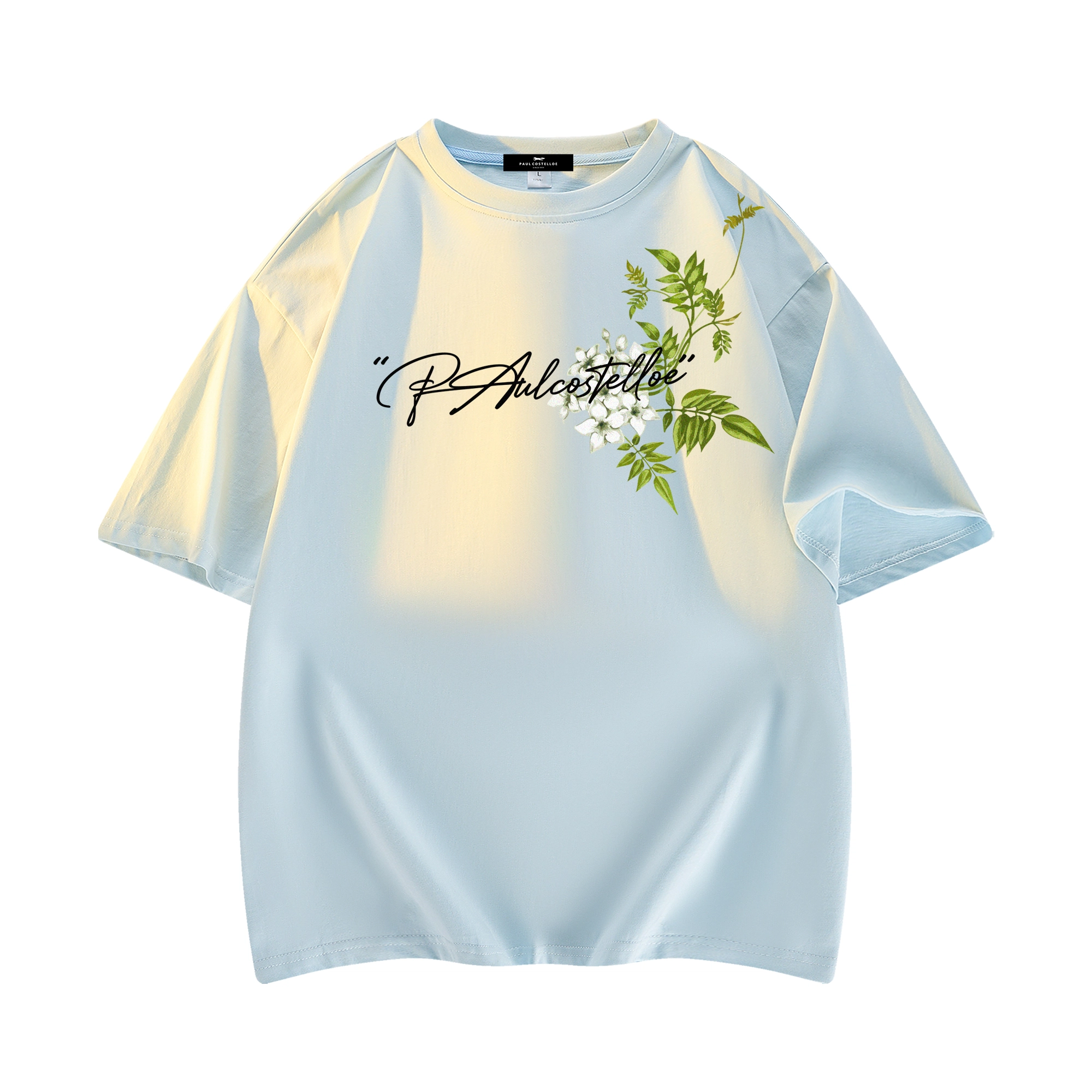 PAUL COSTELLOE logoT