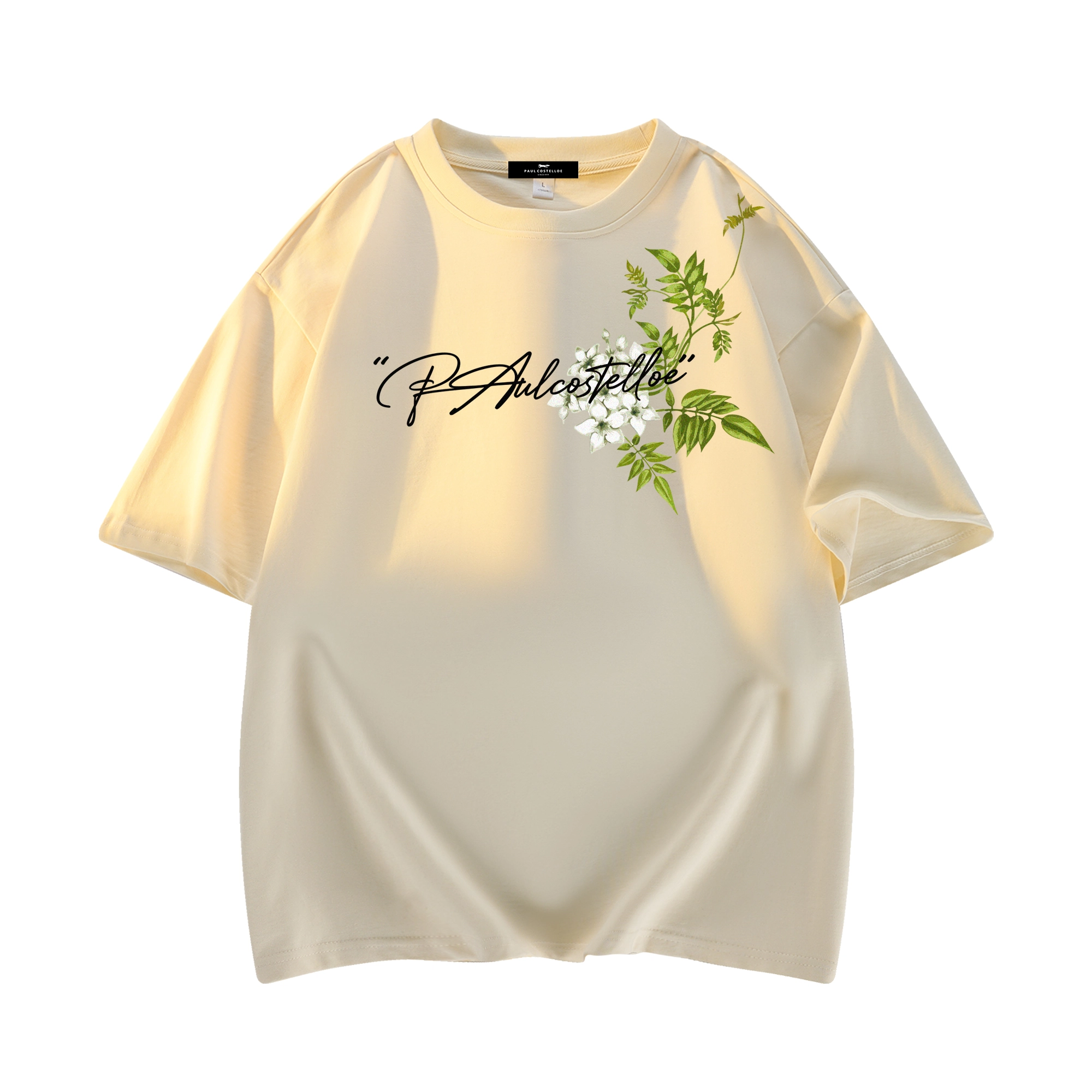 PAUL COSTELLOE logoT