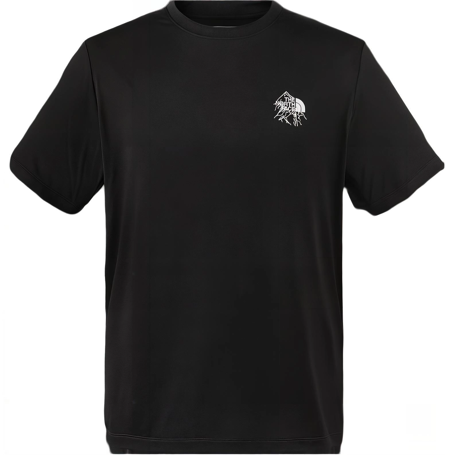 THE NORTH FACE logoT