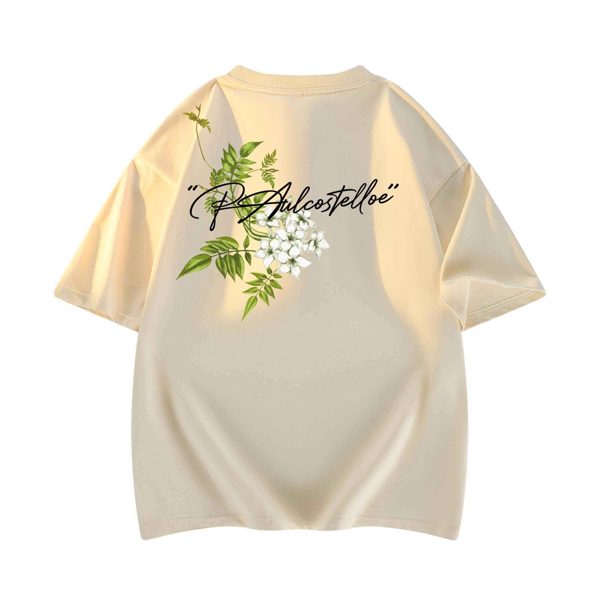 PAUL COSTELLOE logoT