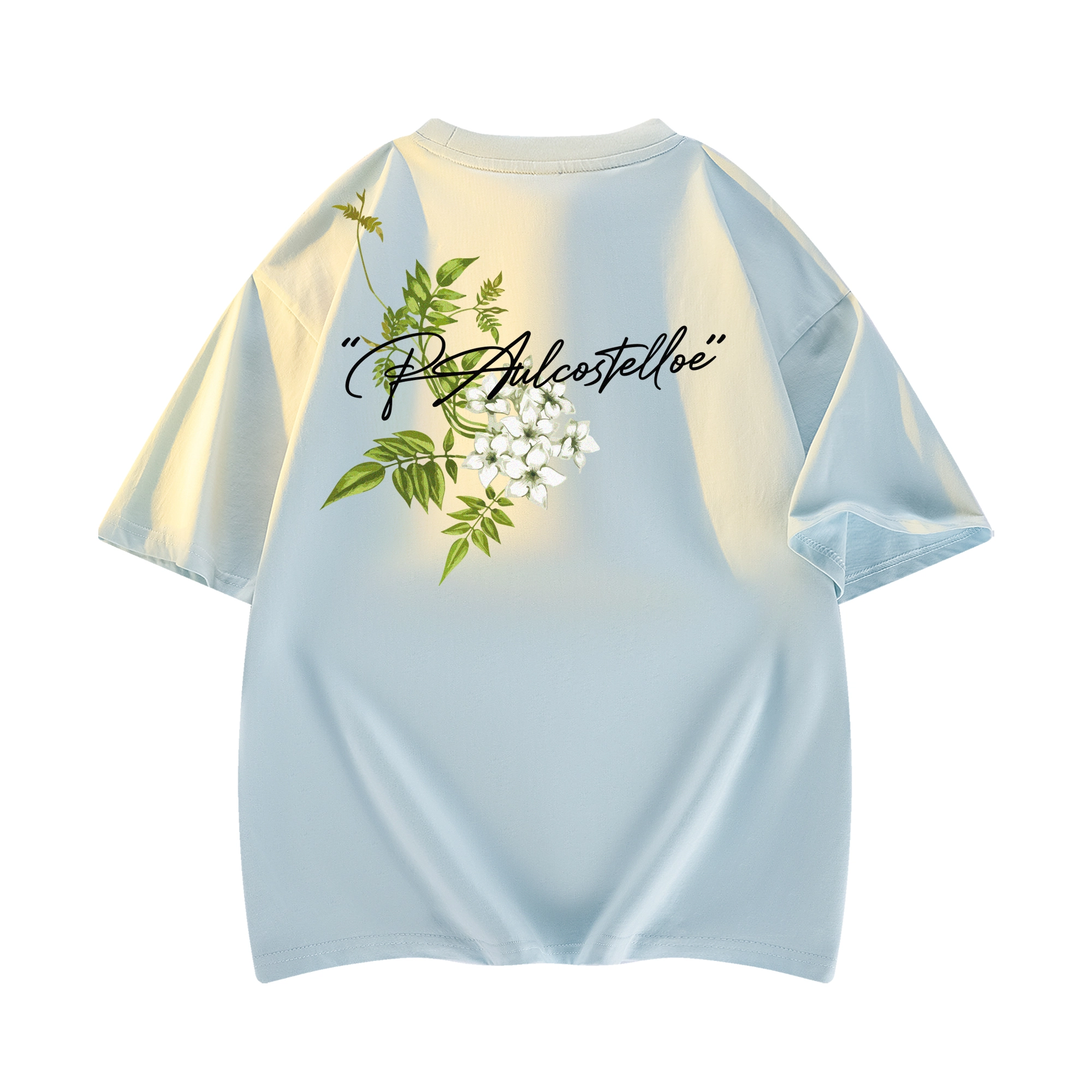 PAUL COSTELLOE logoT