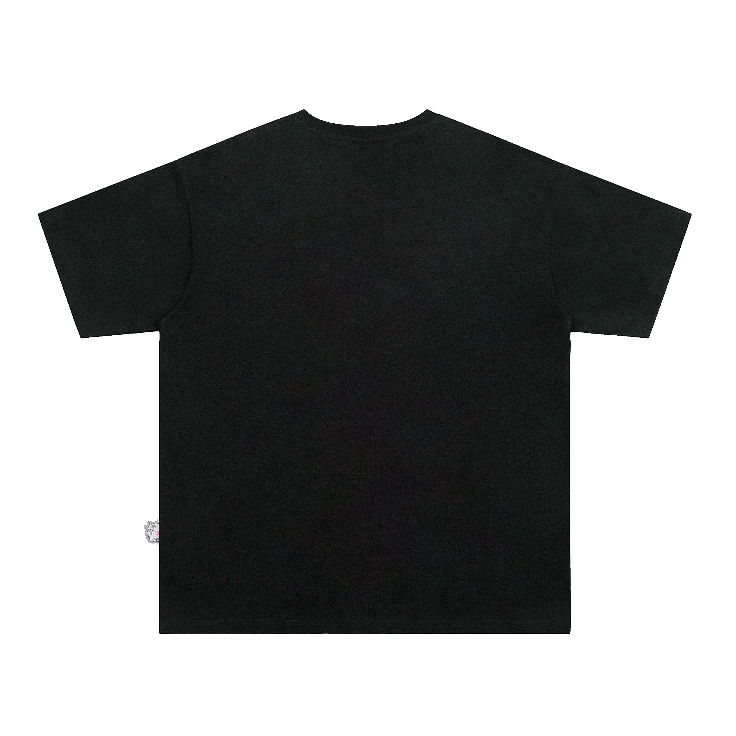 LBPC T