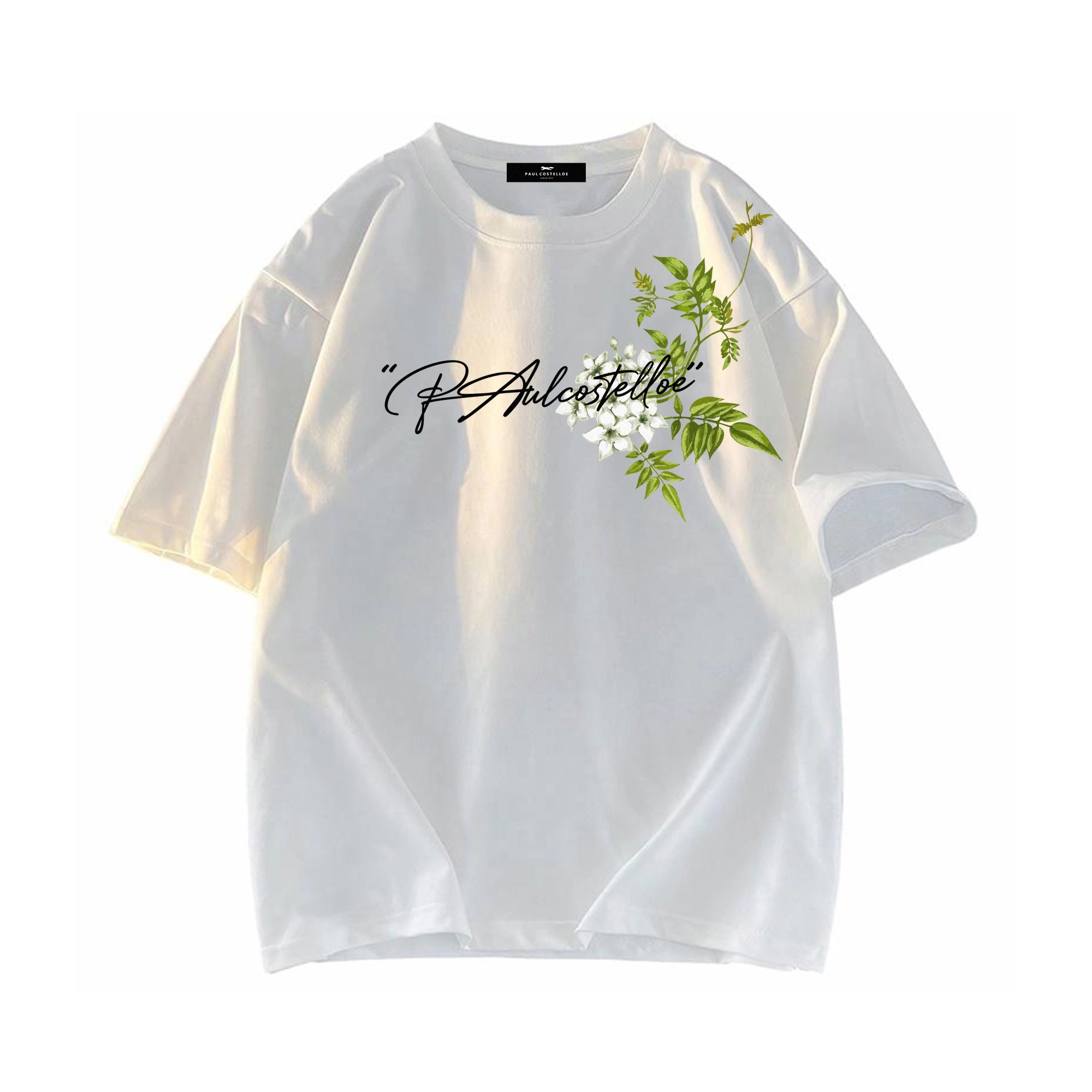PAUL COSTELLOE logoT