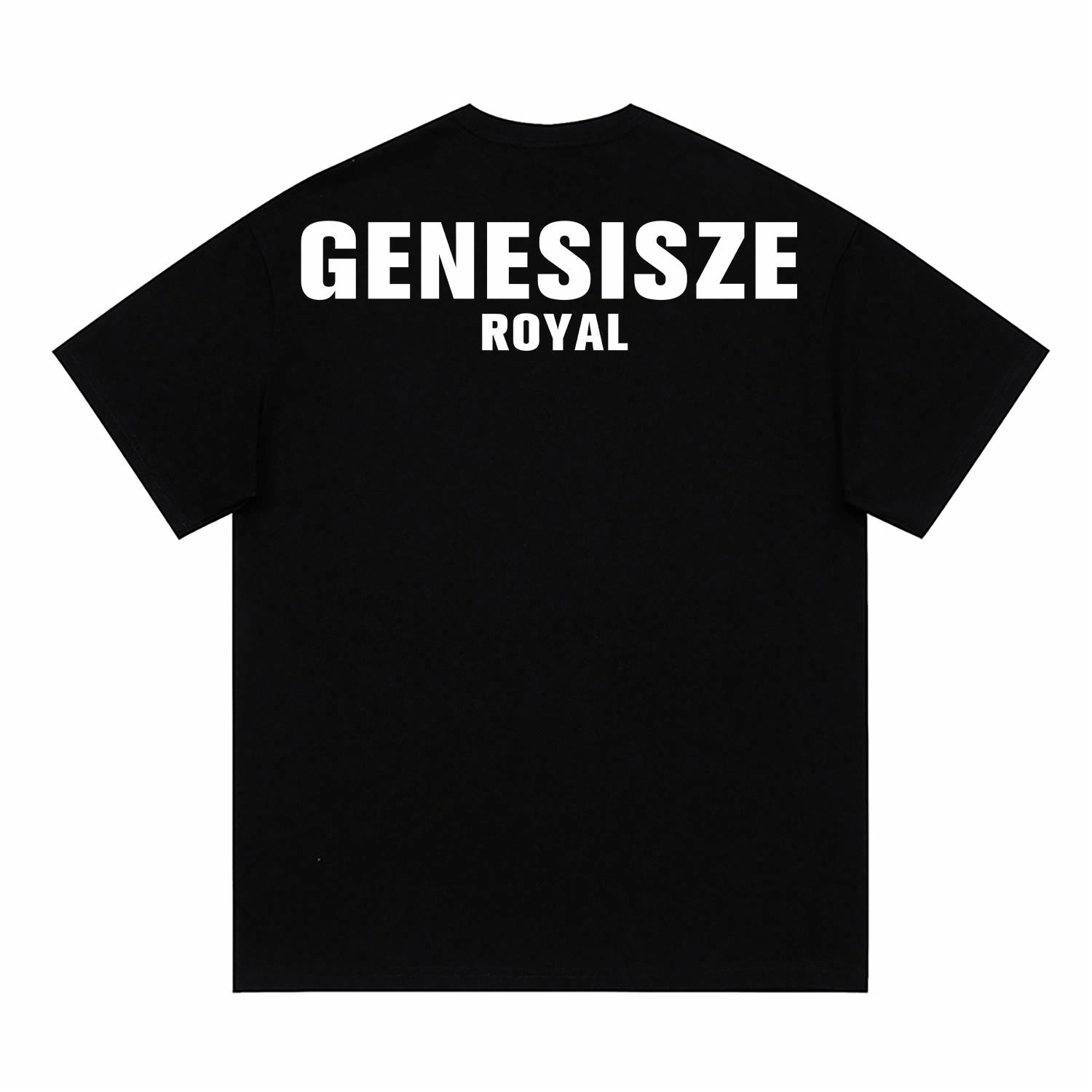 genesiszero LogoT