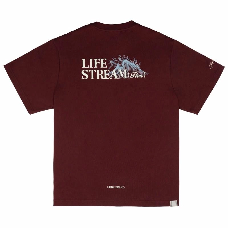 UDBK T