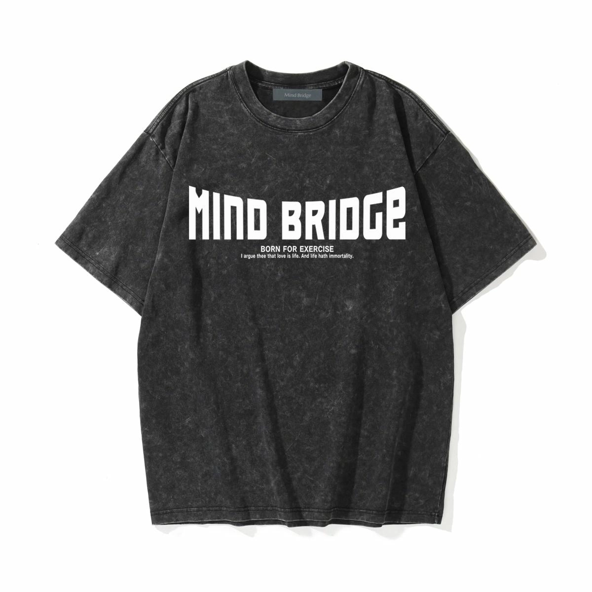 MindBridge T