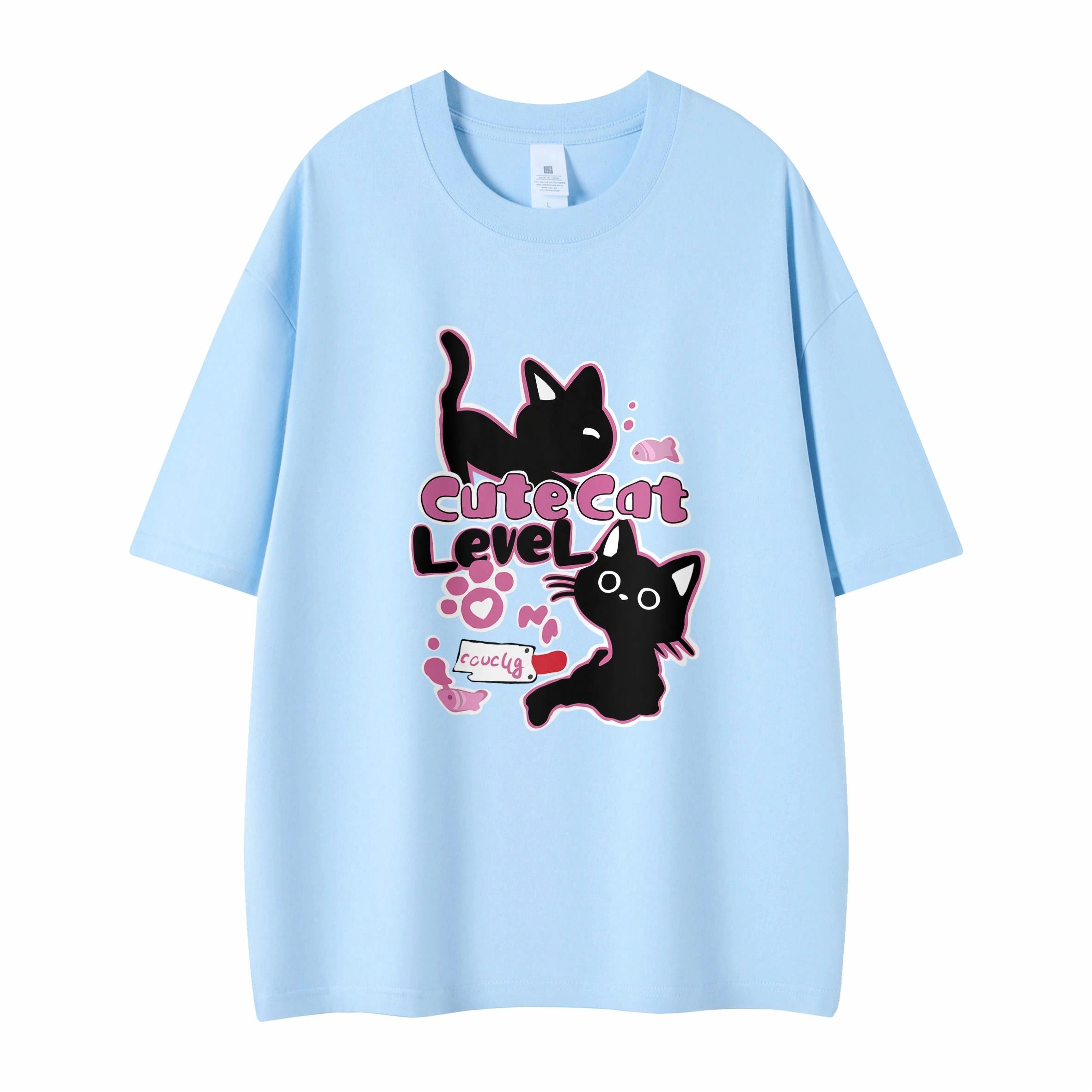 LEVEL T