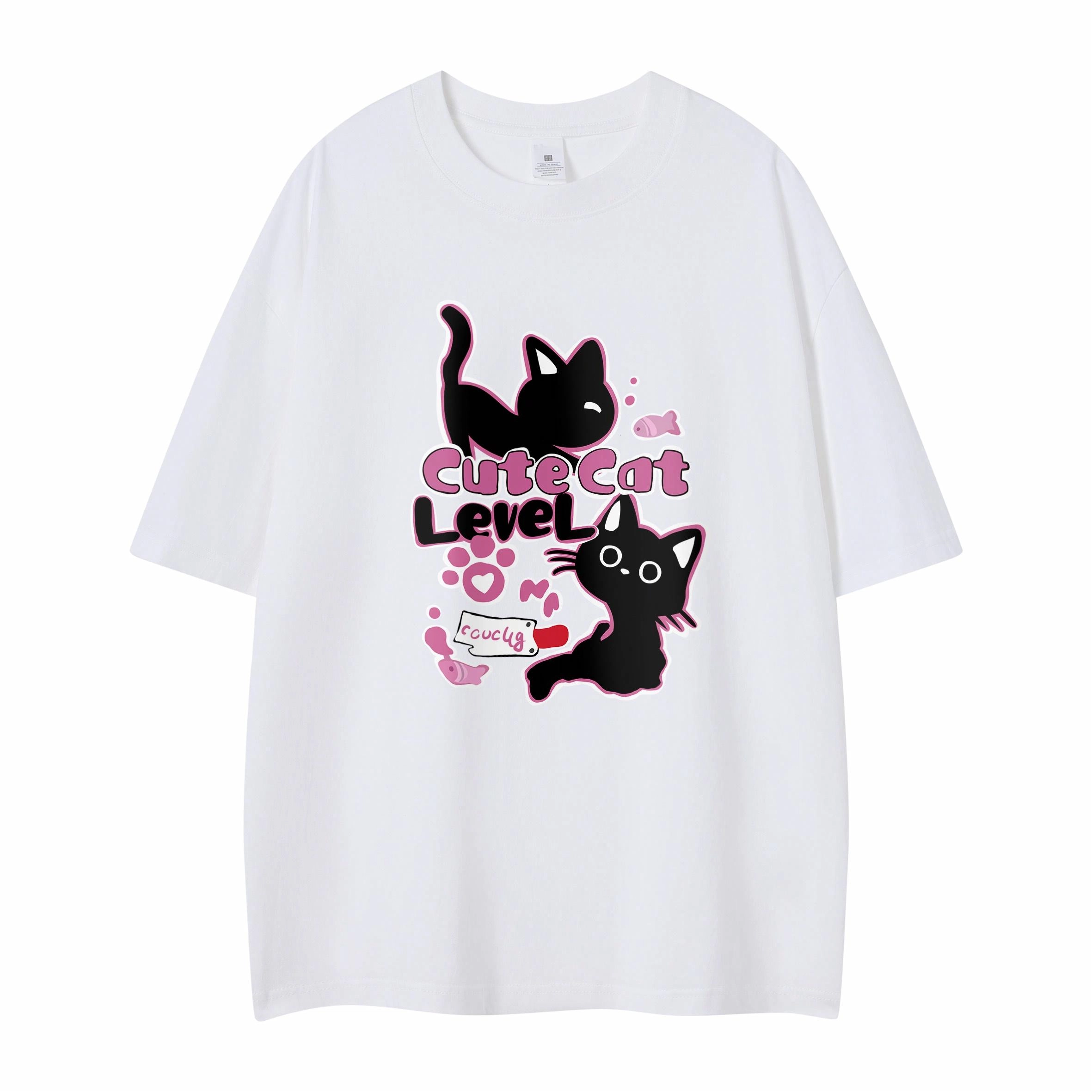 LEVEL T