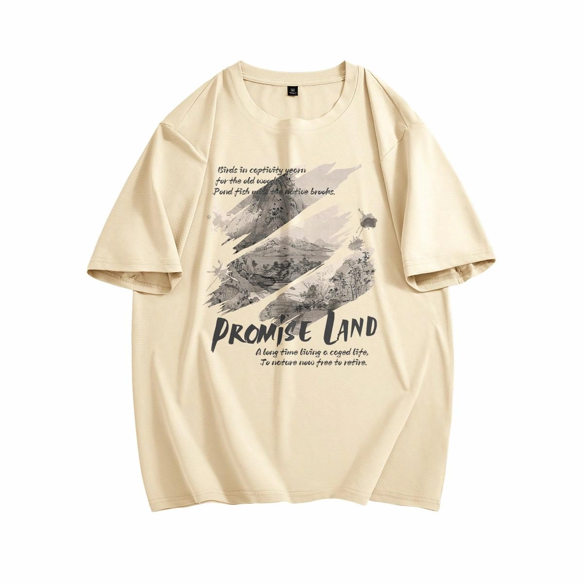 DEBRAND T