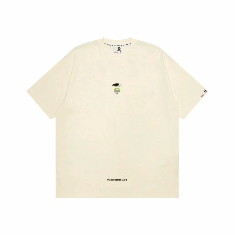 Aape T