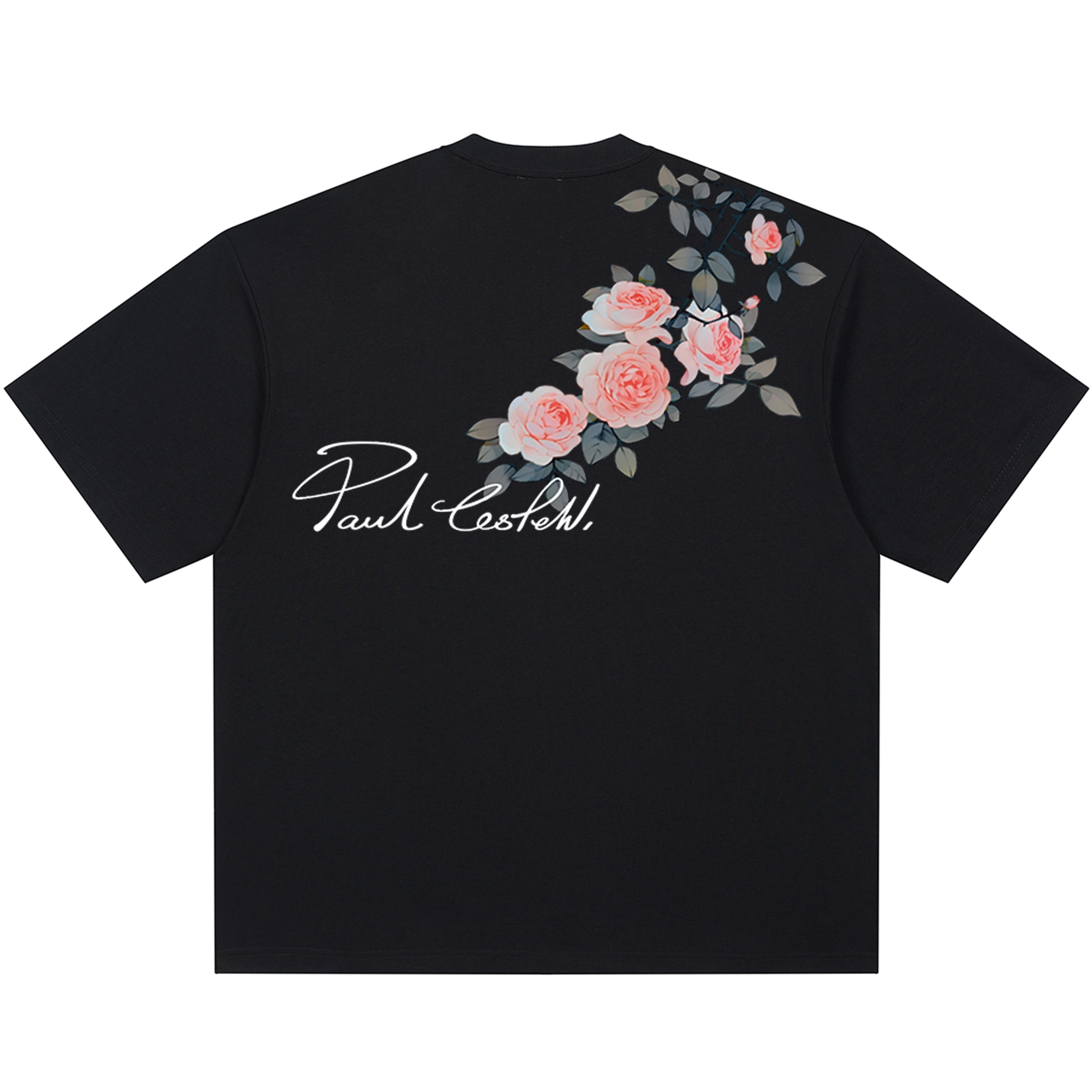 PAUL COSTELLOE logoT