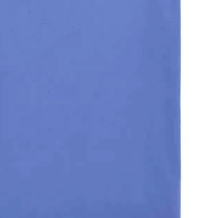Polo Ralph LaurenT SS25