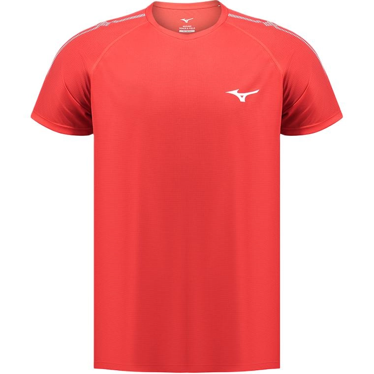 Mizuno T