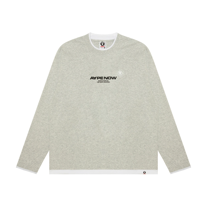 Aape FW24 logoT