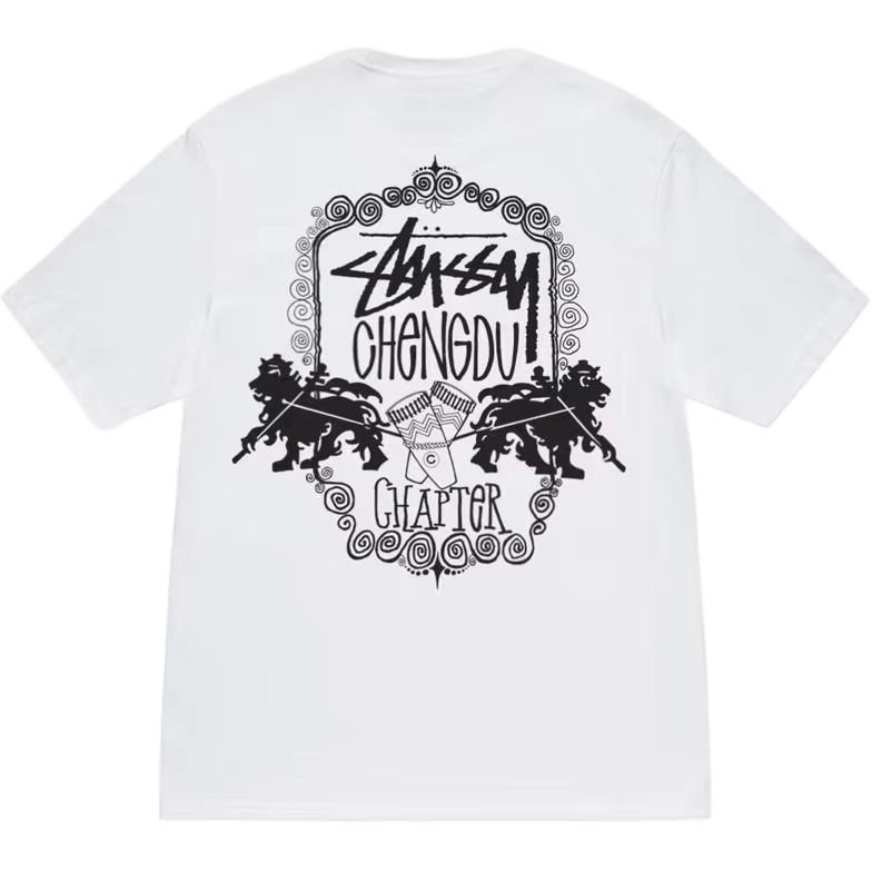 Stussy FW24 T