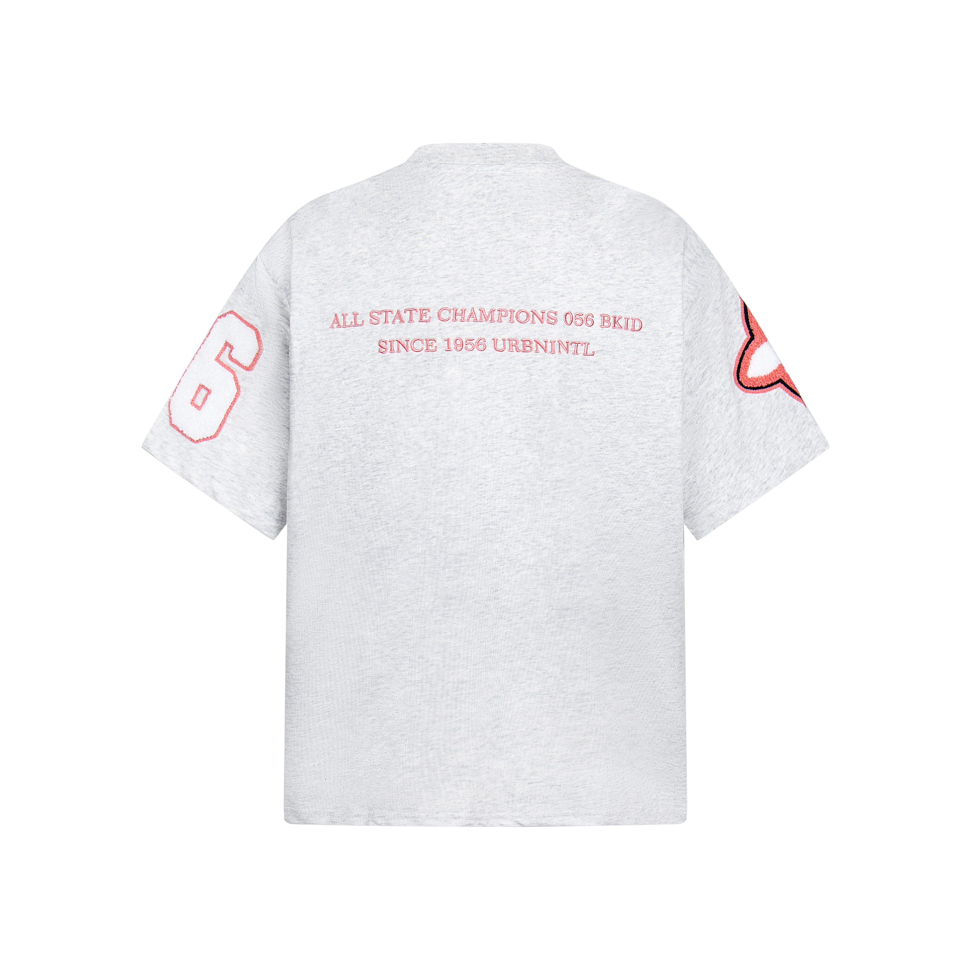 PAINT STAIN T