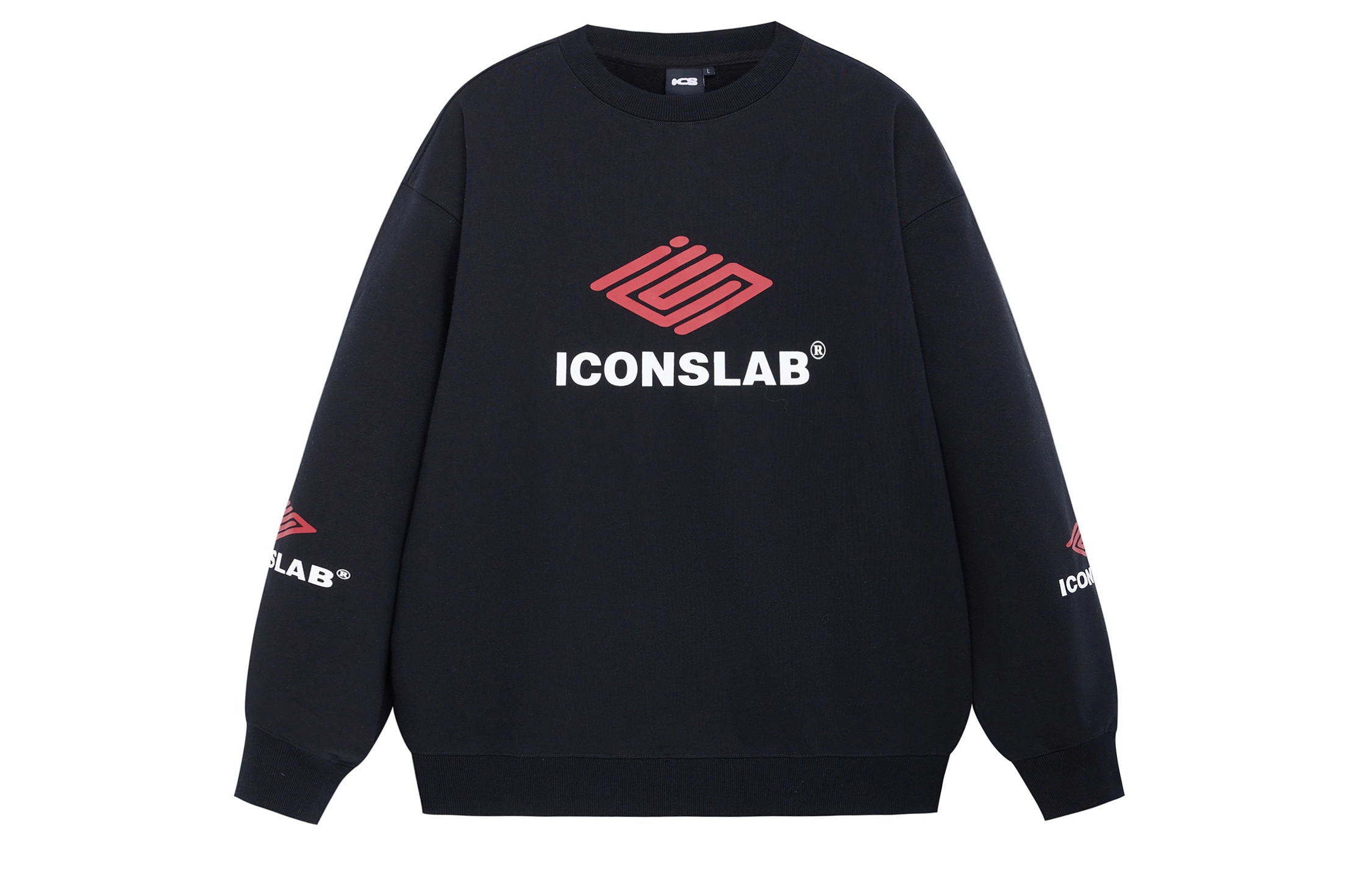 ICONS Lab Logo420g