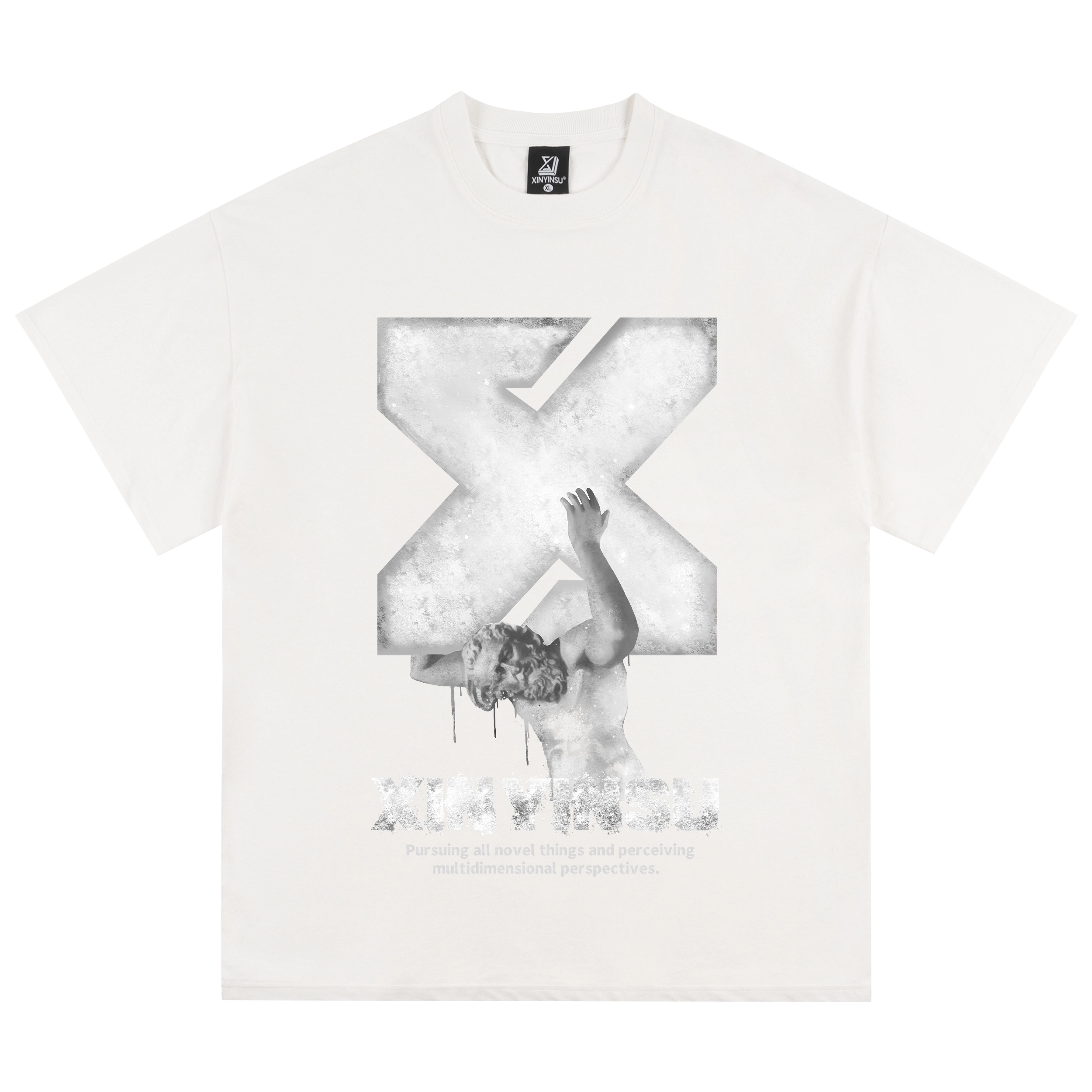 XINYINSU T